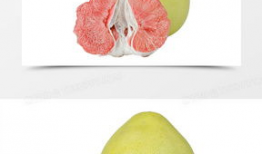 柚子漫画,趣味横生的日常喜剧之旅